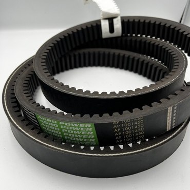 Вариаторный комбайновый ремень 38x2594 La, AP1001450 - Optibelt 