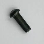 Thumbnail photo 2024 01 03 10.25.44
