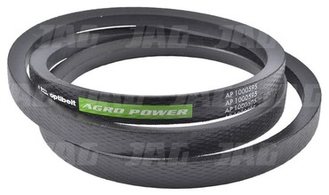 Ремень 667684, 0202172, AP1000595 Optibelt Agro Power