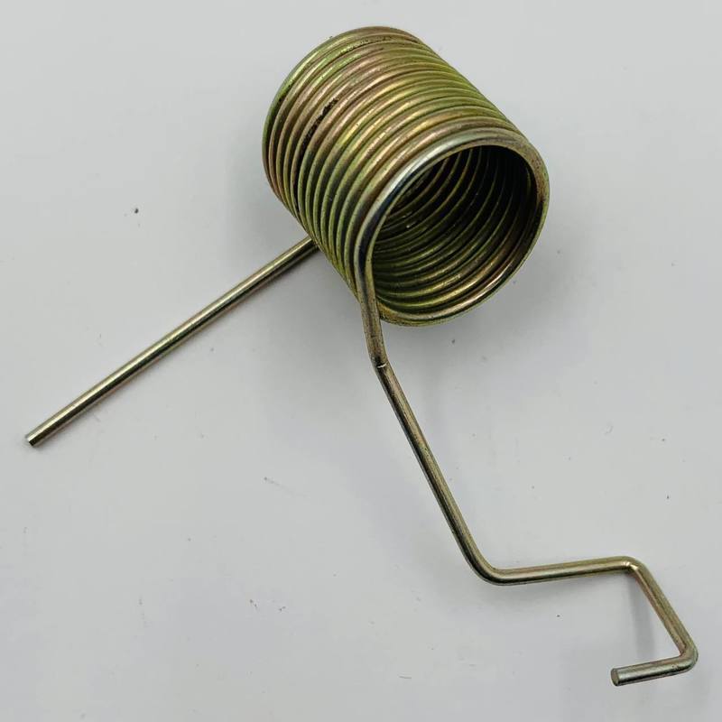 Photo 2024 02 16 10 06 45