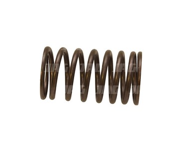 Пружина клапана внешняя двигателя 31745121 Perkins 31745121 [PERKINS]
